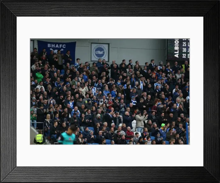 Framed Print : Brighton and Hove Albion FC: Unwavering Support Against Wigan Athletic in Sky Bet Championship (8 November 2014)