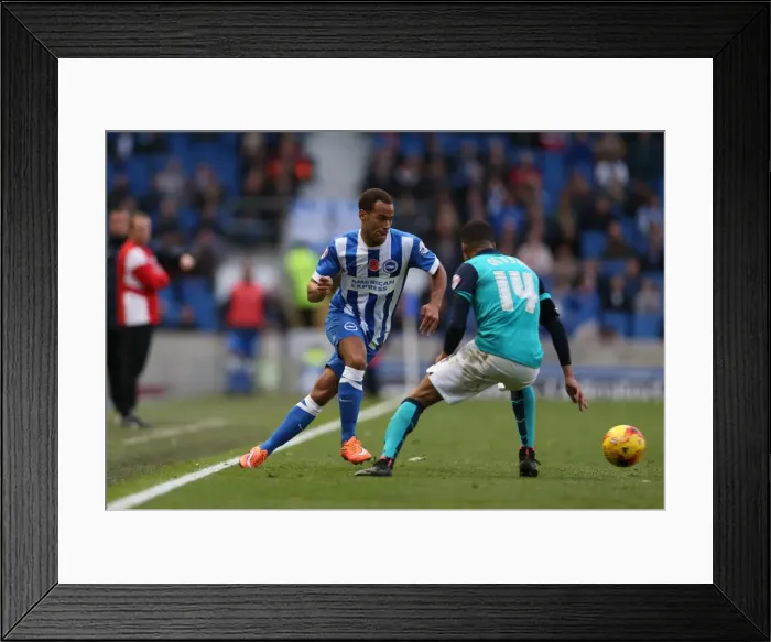 Framed Print : Elliott Bennett in Action: Brighton & Hove Albion vs Wigan Athletic, American Express Community Stadium, 2014 Framed Print : Elliott Bennett in Action: Brighton & Hove Albion vs Wigan Athletic, American Express Community Stadium, 2014