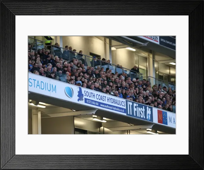 Framed Print : Brighton and Hove Albion FC: Unwavering Support - Sky Bet Championship Match vs. Wigan Athletic (8 November 2014)
