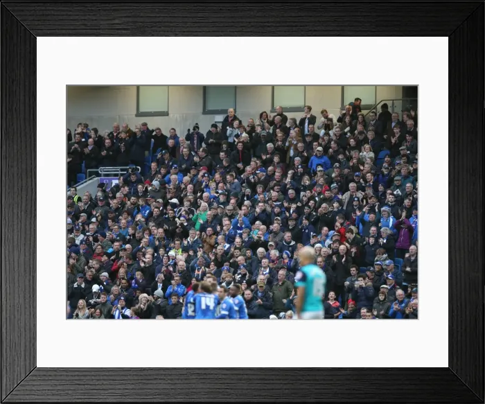 Framed Print : Brighton & Hove Albion: Fans Celebrate Championship Victory over Wigan Athletic (8 Nov 2014) Framed Print : Brighton & Hove Albion: Fans Celebrate Championship Victory over Wigan Athletic (8 Nov 2014)