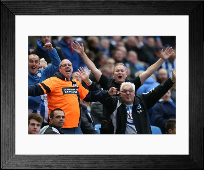 Framed Print : Brighton and Hove Albion: Championship Victory Celebration vs. Blackburn Rovers (Nov 2014) Framed Print : Brighton and Hove Albion: Championship Victory Celebration vs. Blackburn Rovers (Nov 2014)