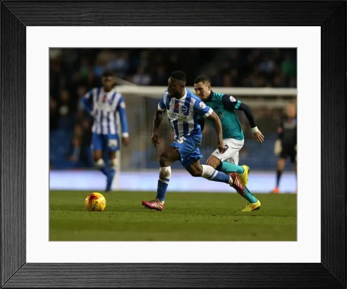 Framed Print : Kazenga LuaLua in Action: Brighton & Hove Albion vs. Wigan Athletic (Sky Bet Championship, 8 November 2014) Framed Print : Kazenga LuaLua in Action: Brighton & Hove Albion vs. Wigan Athletic (Sky Bet Championship, 8 November 2014)