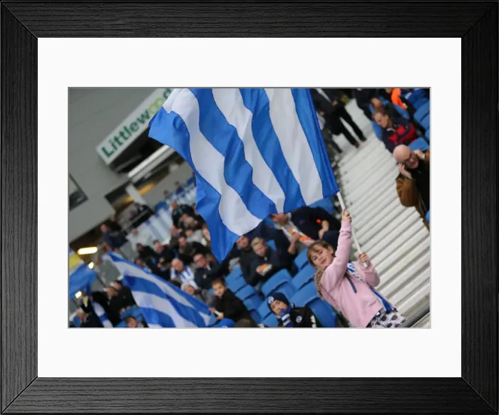 Framed Print : Brighton and Hove Albion FC: A Spectacular Show of Colors by Fans vs Blackburn Rovers (Nov 2014) Framed Print : Brighton and Hove Albion FC: A Spectacular Show of Colors by Fans vs Blackburn Rovers (Nov 2014)