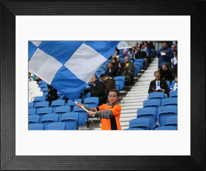 Framed Print : Brighton and Hove Albion Fans Celebrate during Sky Bet Championship Match vs. Wigan Athletic (8 November 2014) Framed Print : Brighton and Hove Albion Fans Celebrate during Sky Bet Championship Match vs. Wigan Athletic (8 November 2014)