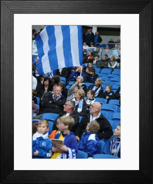 Framed Print : Brighton & Hove Albion Fans in Full Support: A Sea of Seagulls Against Blackburn Rovers (Nov 2014) Framed Print : Brighton & Hove Albion Fans in Full Support: A Sea of Seagulls Against Blackburn Rovers (Nov 2014)