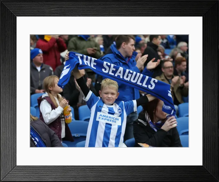 Framed Print : Brighton & Hove Albion FC: Unwavering Support in Sky Bet Championship Clash vs. Blackburn Rovers (8 Nov 2014) Framed Print : Brighton & Hove Albion FC: Unwavering Support in Sky Bet Championship Clash vs. Blackburn Rovers (8 Nov 2014)
