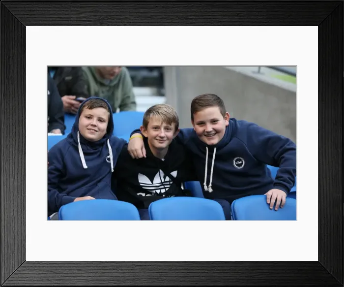 Framed Print : Brighton and Hove Albion FC: Unwavering Fan Support in Sky Bet Championship Clash vs. Blackburn Rovers (November 2014) Framed Print : Brighton and Hove Albion FC: Unwavering Fan Support in Sky Bet Championship Clash vs. Blackburn Rovers (November 2014)
