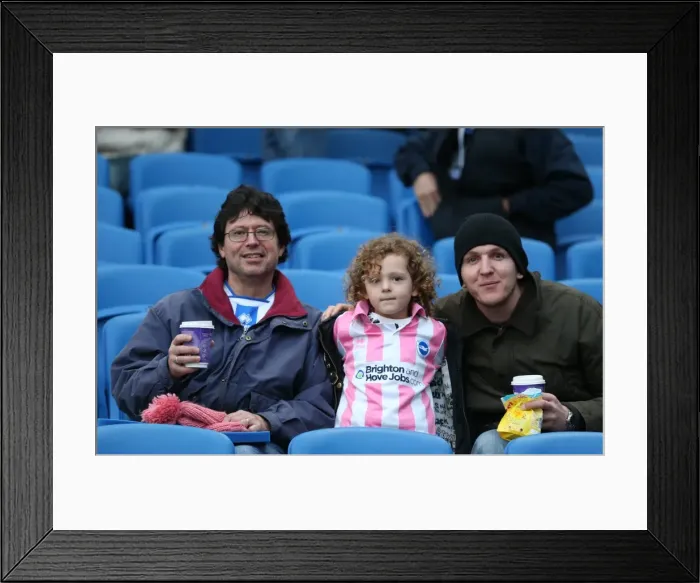 Framed Print : Brighton and Hove Albion FC: Unwavering Fan Support vs. Wigan Athletic (Sky Bet Championship, 8 November 2014) Framed Print : Brighton and Hove Albion FC: Unwavering Fan Support vs. Wigan Athletic (Sky Bet Championship, 8 November 2014)