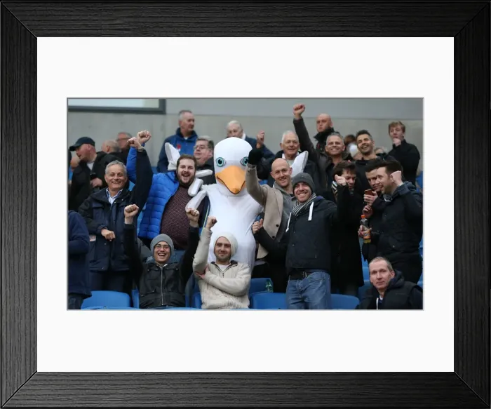 Framed Print : Brighton and Hove Albion Fans with Seagull Celebrating at American Express Community Stadium vs. Wigan Athletic (Nov. 2014) Framed Print : Brighton and Hove Albion Fans with Seagull Celebrating at American Express Community Stadium vs. Wigan Athletic (Nov. 2014)