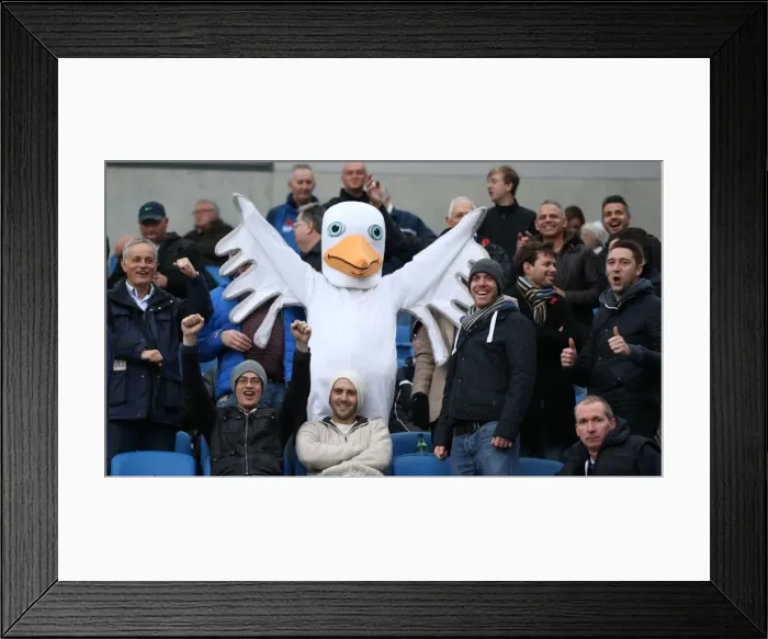 Framed Print : Brighton and Hove Albion FC: Unwavering Fan Support in Sky Bet Championship Clash vs. Blackburn Rovers (November 2014) Framed Print : Brighton and Hove Albion FC: Unwavering Fan Support in Sky Bet Championship Clash vs. Blackburn Rovers (November 2014)