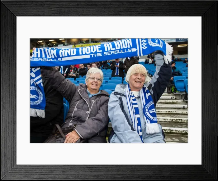 Framed Print : Brighton & Hove Albion vs. Blackburn Rovers: 2014-15 Home Season Framed Print : Brighton & Hove Albion vs. Blackburn Rovers: 2014-15 Home Season
