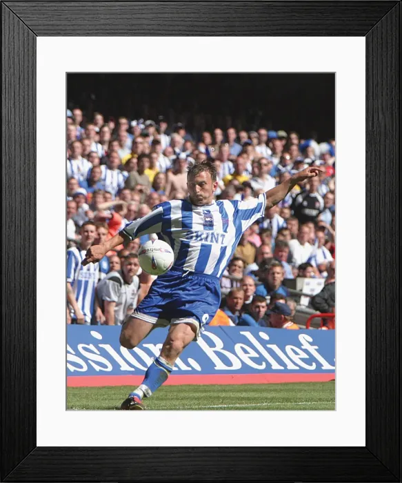 Framed Print : Brighton & Hove Albion's Thrilling Play-off Final Victory in 2004 Framed Print : Brighton & Hove Albion's Thrilling Play-off Final Victory in 2004