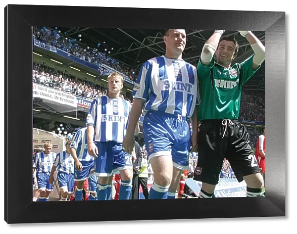 Brighton & Hove Albion's Epic Victory in the 2004 Play-off Final