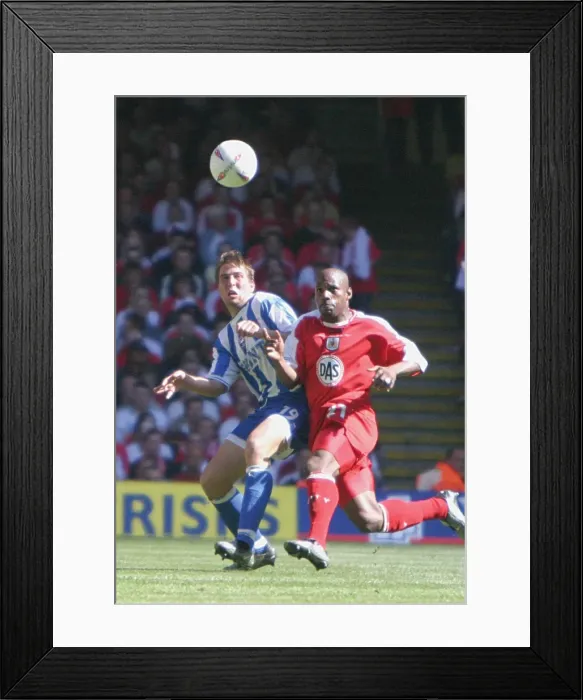 Framed Print : Brighton & Hove Albion's Unforgettable 2004 Play-off Final Triumph Framed Print : Brighton & Hove Albion's Unforgettable 2004 Play-off Final Triumph