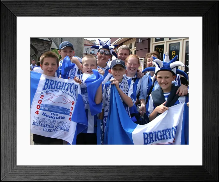 Framed Print : Withdean Era: A Sea of Seagulls - Brighton & Hove Albion Crowd Shots Framed Print : Withdean Era: A Sea of Seagulls - Brighton & Hove Albion Crowd Shots