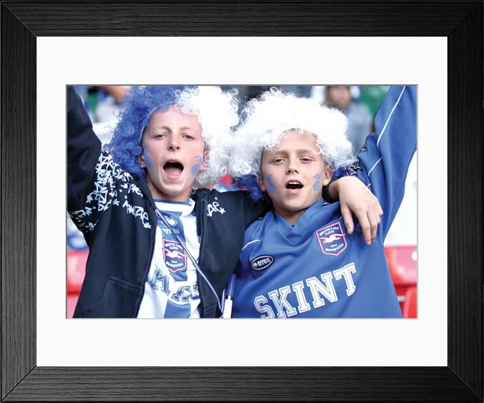 Framed Print : Withdean Era: A Sea of Seagulls - Brighton & Hove Albion Crowd Shots
