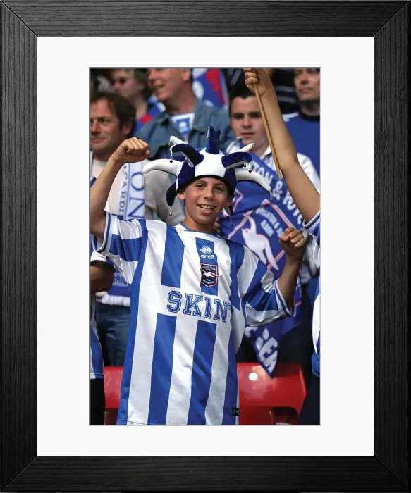 Framed Print : Withdean Era: A Sea of Supporters - Brighton & Hove Albion FC Crowd Shots Framed Print : Withdean Era: A Sea of Supporters - Brighton & Hove Albion FC Crowd Shots