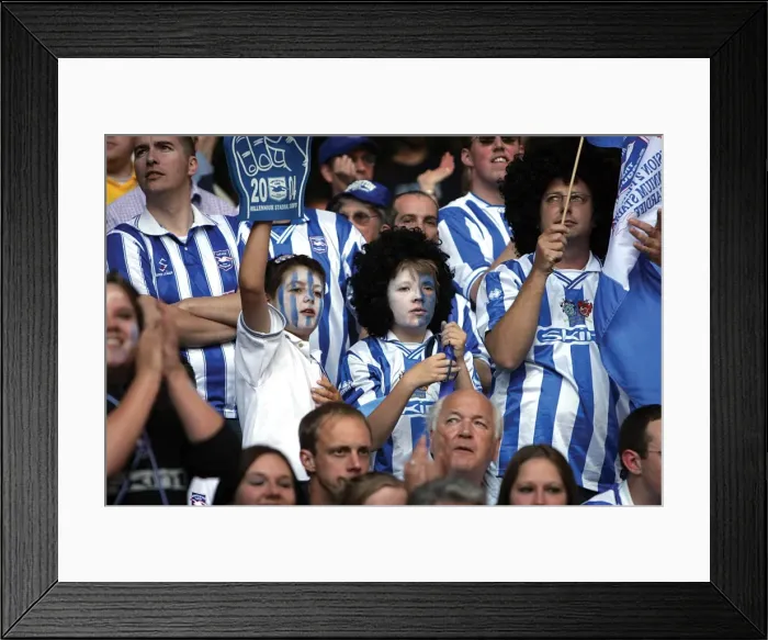 Framed Print : Withdean Era: A Sea of Seagulls - Brighton & Hove Albion Crowd Shots Framed Print : Withdean Era: A Sea of Seagulls - Brighton & Hove Albion Crowd Shots