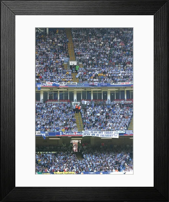 Framed Print : Withdean Era: A Sea of Seagulls - Brighton & Hove Albion Crowd Shots Framed Print : Withdean Era: A Sea of Seagulls - Brighton & Hove Albion Crowd Shots