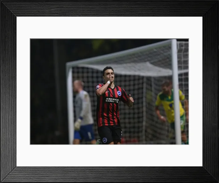 Framed Print : Colunga Scores: Norwich City vs. Brighton and Hove Albion, Sky Bet Championship (22 November 2014) Framed Print : Colunga Scores: Norwich City vs. Brighton and Hove Albion, Sky Bet Championship (22 November 2014)