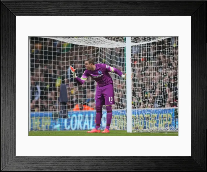 Framed Print : Focused David Stockdale: Norwich City vs. Brighton & Hove Albion, 2014 Framed Print : Focused David Stockdale: Norwich City vs. Brighton & Hove Albion, 2014