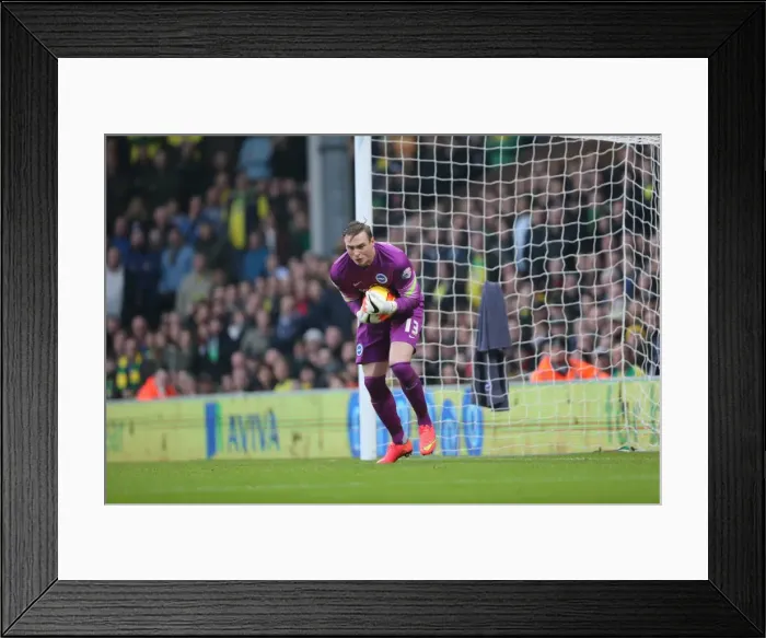 Framed Print : David Stockdale Focused: Norwich City vs. Brighton & Hove Albion, Carrow Road, 2014 Framed Print : David Stockdale Focused: Norwich City vs. Brighton & Hove Albion, Carrow Road, 2014