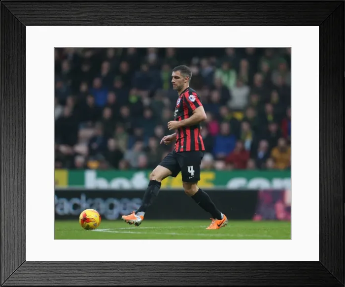 Framed Print : Aaron Hughes in Action: Norwich City vs. Brighton & Hove Albion, Sky Bet Championship, Carrow Road, 2014 Framed Print : Aaron Hughes in Action: Norwich City vs. Brighton & Hove Albion, Sky Bet Championship, Carrow Road, 2014