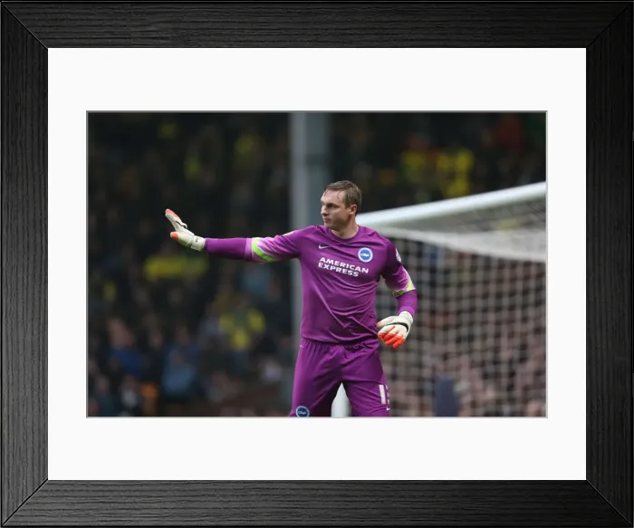 Framed Print : David Stockdale: Intense Concentration at Carrow Road - Norwich City vs. Brighton and Hove Albion, 2014 Framed Print : David Stockdale: Intense Concentration at Carrow Road - Norwich City vs. Brighton and Hove Albion, 2014