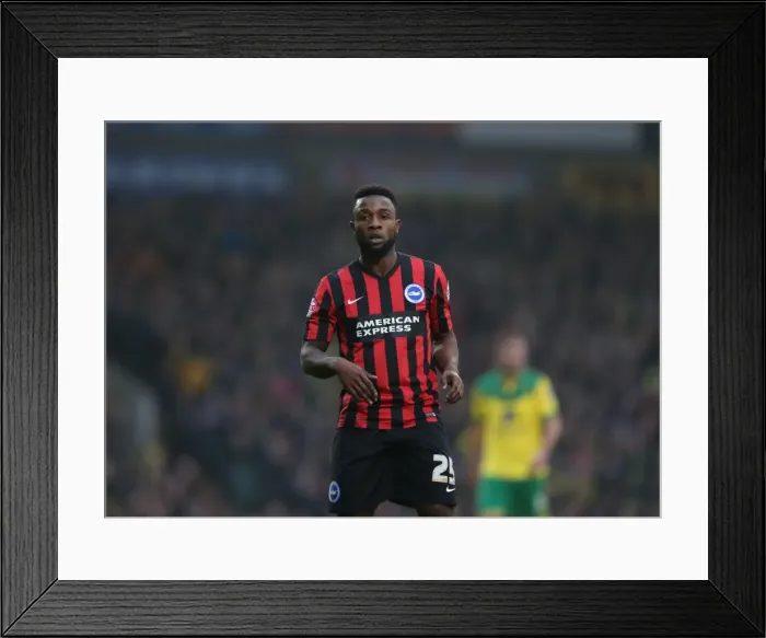 Framed Print : LuaLua in Action: Norwich City vs. Brighton & Hove Albion, Carrow Road, 2014 Framed Print : LuaLua in Action: Norwich City vs. Brighton & Hove Albion, Carrow Road, 2014