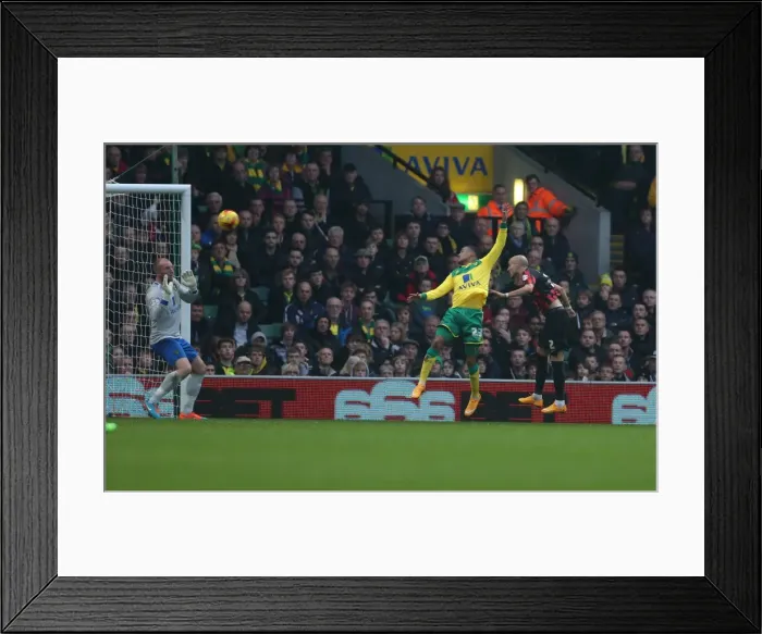 Framed Print : Bruno's Stunner: Norwich City vs. Brighton & Hove Albion, 2014 Championship Clash Framed Print : Bruno's Stunner: Norwich City vs. Brighton & Hove Albion, 2014 Championship Clash