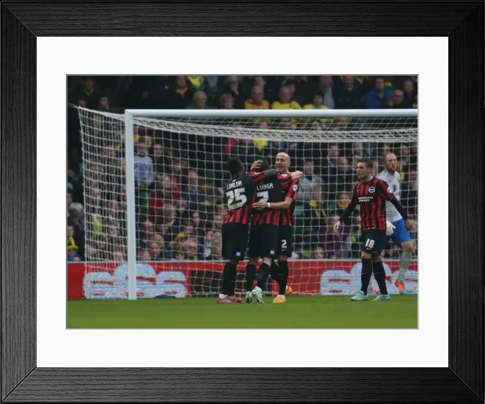 Framed Print : Bruno's Strike: Norwich City vs. Brighton & Hove Albion, 2014 Championship Clash Framed Print : Bruno's Strike: Norwich City vs. Brighton & Hove Albion, 2014 Championship Clash