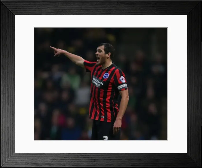 Framed Print : Gordon Greer in Action: Norwich City vs. Brighton & Hove Albion, Carrow Road, 2014 Framed Print : Gordon Greer in Action: Norwich City vs. Brighton & Hove Albion, Carrow Road, 2014