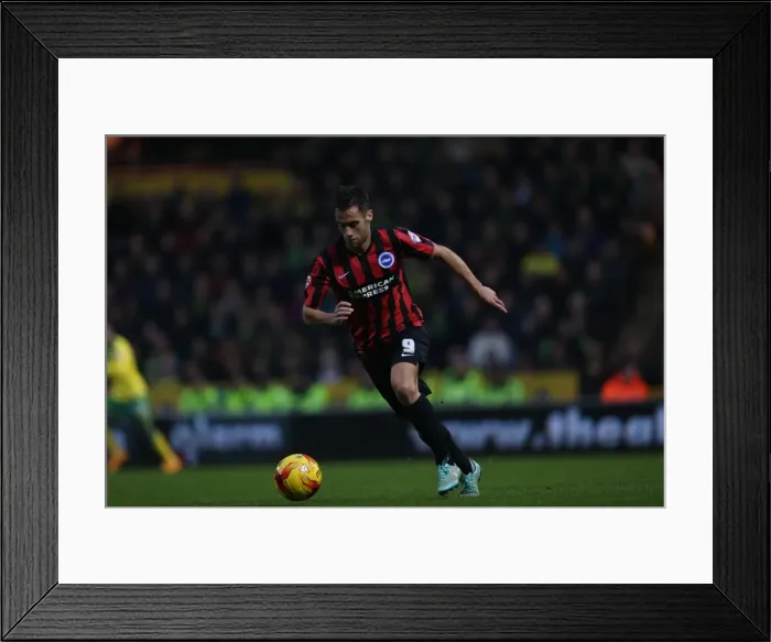 Framed Print : Saam Baldock in Action: Norwich City vs. Brighton & Hove Albion, Carrow Road, 2014 Framed Print : Saam Baldock in Action: Norwich City vs. Brighton & Hove Albion, Carrow Road, 2014