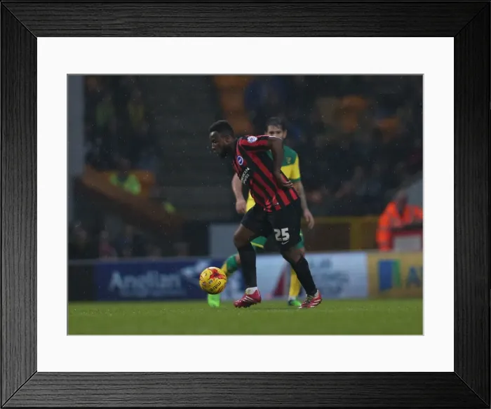 Framed Print : LuaLua's Determined Performance: Norwich City vs. Brighton & Hove Albion (22NOV14) Framed Print : LuaLua's Determined Performance: Norwich City vs. Brighton & Hove Albion (22NOV14)