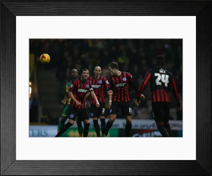 Framed Print : Gary Gardner Clears the Way: Norwich City vs. Brighton and Hove Albion, 2014 Framed Print : Gary Gardner Clears the Way: Norwich City vs. Brighton and Hove Albion, 2014