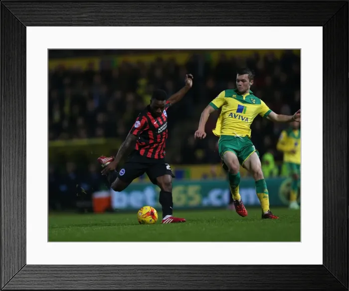 Framed Print : LuaLua's Shot: Norwich City vs. Brighton & Hove Albion, Carrow Road (2014) Framed Print : LuaLua's Shot: Norwich City vs. Brighton & Hove Albion, Carrow Road (2014)