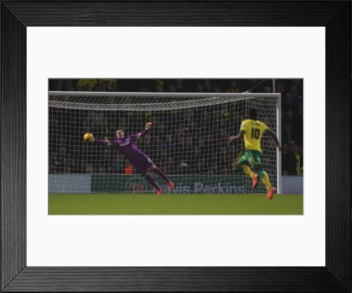 Framed Print : David Stockdale's Spectacular Saves: Norwich City vs. Brighton & Hove Albion (22NOV14)