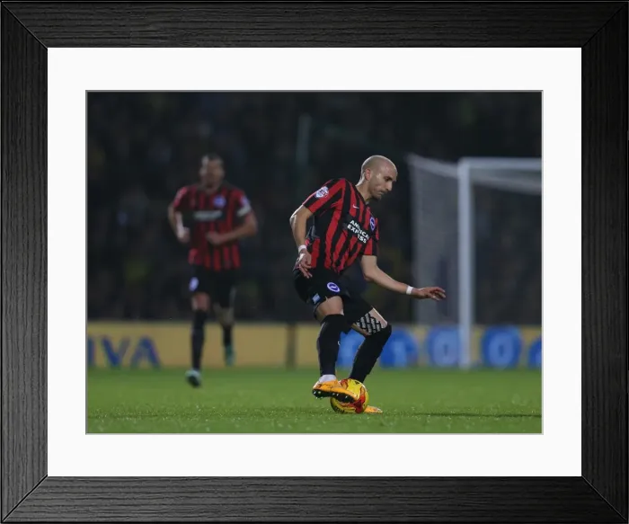 Framed Print : Bruno's Determination: Norwich City vs. Brighton & Hove Albion, Carrow Road, 2014 Framed Print : Bruno's Determination: Norwich City vs. Brighton & Hove Albion, Carrow Road, 2014