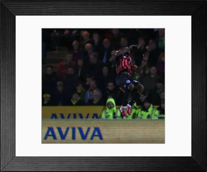 Framed Print : LuaLua Scores Dramatic Goal: Norwich City vs. Brighton & Hove Albion (22NOV14) Framed Print : LuaLua Scores Dramatic Goal: Norwich City vs. Brighton & Hove Albion (22NOV14)
