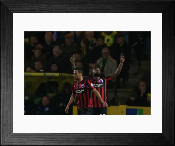 Framed Print : LuaLua Scores: Norwich City vs. Brighton & Hove Albion (22NOV14) Framed Print : LuaLua Scores: Norwich City vs. Brighton & Hove Albion (22NOV14)