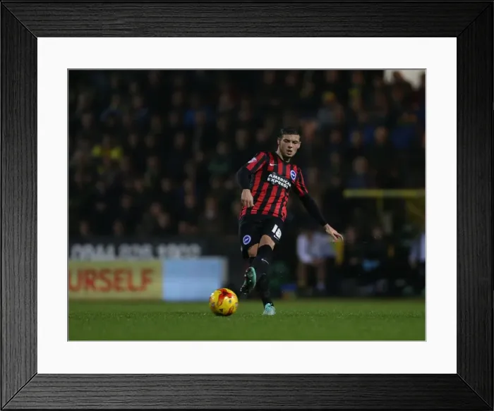 Framed Print : Jake Forster-Caskey in Action: Norwich City vs. Brighton & Hove Albion, 2014 Framed Print : Jake Forster-Caskey in Action: Norwich City vs. Brighton & Hove Albion, 2014