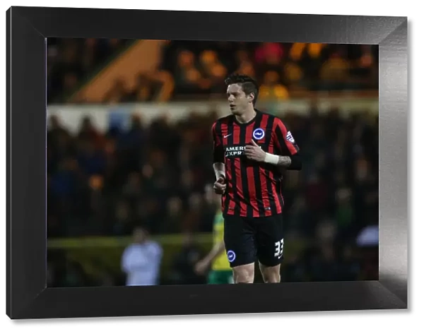 Greg Halford in Action: Norwich City vs. Brighton & Hove Albion, Carrow Road, 2014