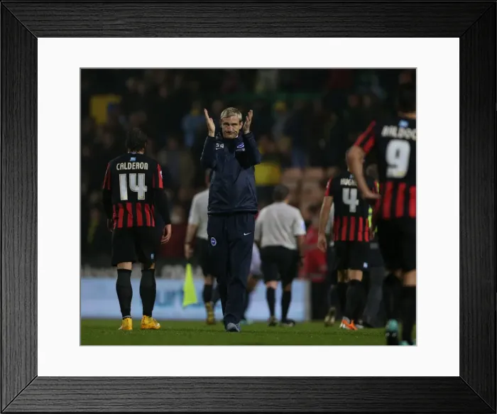 Framed Print : Sami Hyypia Leads Brighton and Hove Albion in Norwich Showdown, 22 Nov 2014 Framed Print : Sami Hyypia Leads Brighton and Hove Albion in Norwich Showdown, 22 Nov 2014