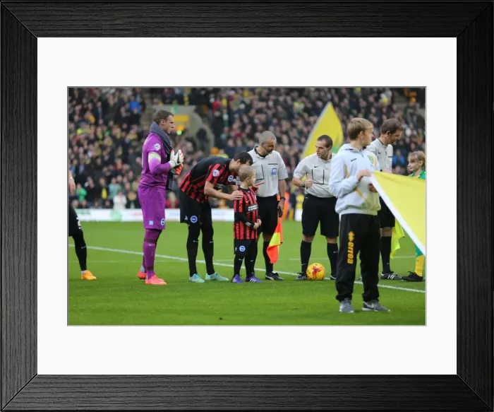Framed Print : Brighton & Hove Albion Mascot Faces Off Against Norwich City's during Sky Bet Championship Clash (22NOV14)