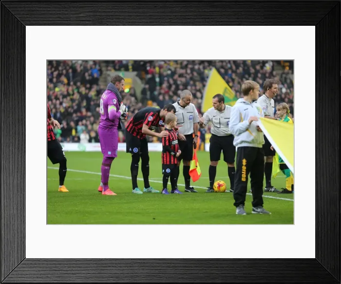 Framed Print : Brighton & Hove Albion Mascot at Norwich City's Carrow Road During Sky Bet Championship Match (22nd November 2014) Framed Print : Brighton & Hove Albion Mascot at Norwich City's Carrow Road During Sky Bet Championship Match (22nd November 2014)