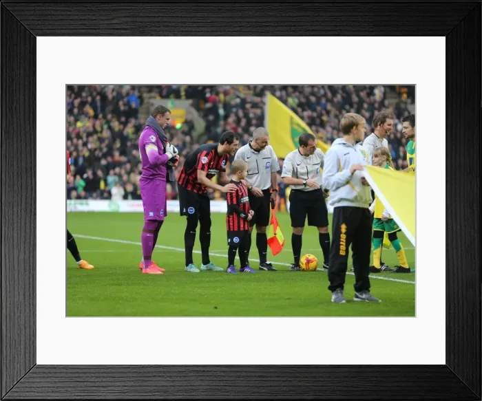Framed Print : Brighton & Hove Albion Mascot at Norwich City's Carrow Road during Sky Bet Championship Match, 22nd November 2014
