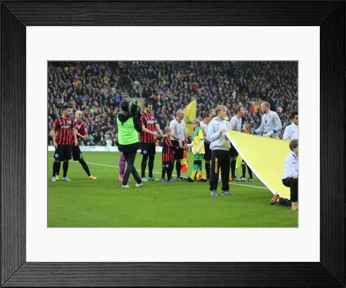 Framed Print : Championship Showdown: Norwich City vs. Brighton & Hove Albion at Carrow Road (22NOV14) Framed Print : Championship Showdown: Norwich City vs. Brighton & Hove Albion at Carrow Road (22NOV14)
