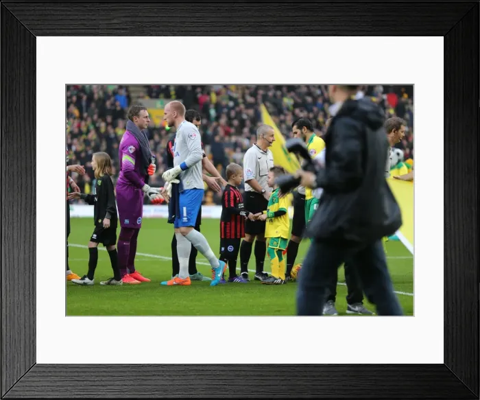 Framed Print : Brighton & Hove Albion Mascot in Action at Norwich City's Carrow Road during Sky Bet Championship Match (22NOV14) Framed Print : Brighton & Hove Albion Mascot in Action at Norwich City's Carrow Road during Sky Bet Championship Match (22NOV14)