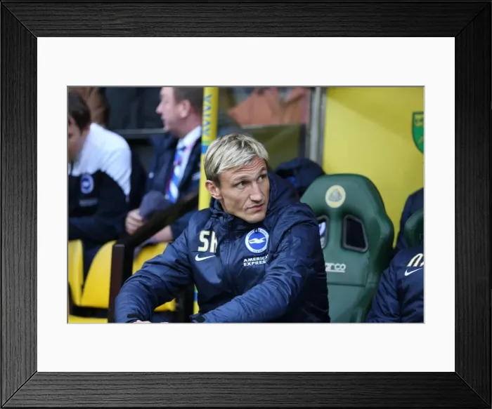 Framed Print : Sami Hyypia Leads Brighton and Hove Albion in Norwich City Clash, 22 November 2014