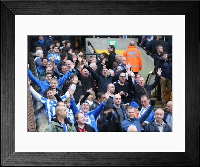 Framed Print : Brighton and Hove Albion Fans in Full Force: Sky Bet Championship Showdown at Norwich City, 22nd November 2014